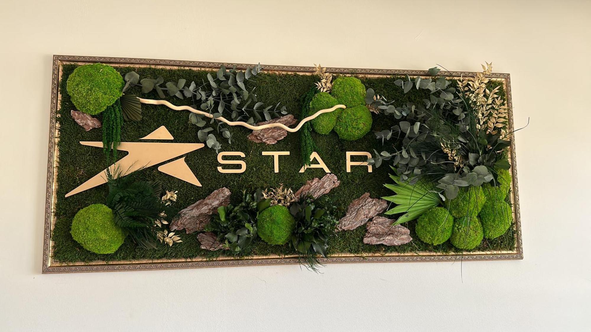 Star Hotel Тулча Экстерьер фото
